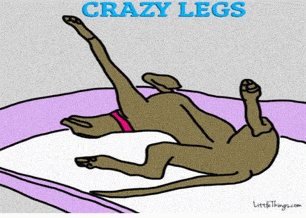 crazy-legs