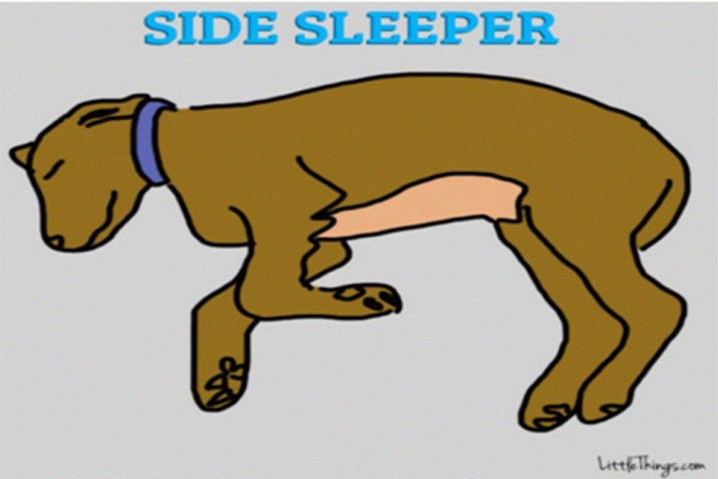 side-sleeper