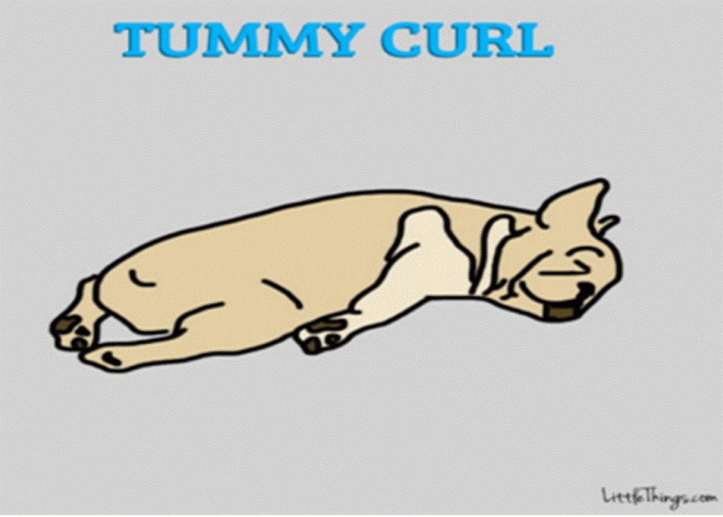 tummy-curl